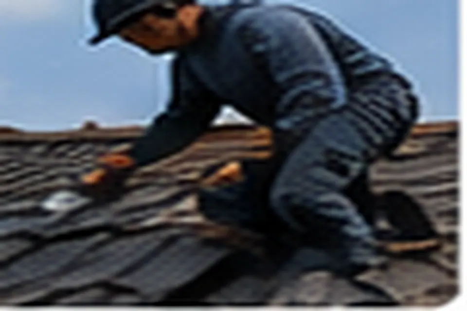 Inspection professionnelle d'une toiture